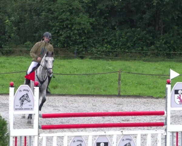Reitturnier Gossau 2025