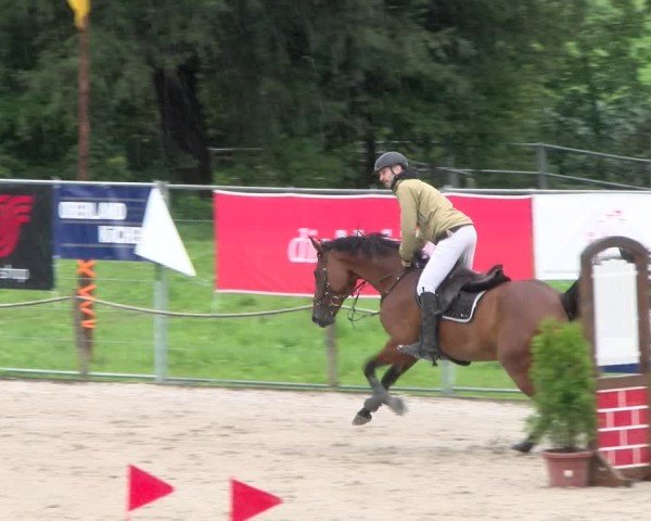 Reitturnier Gossau 2025