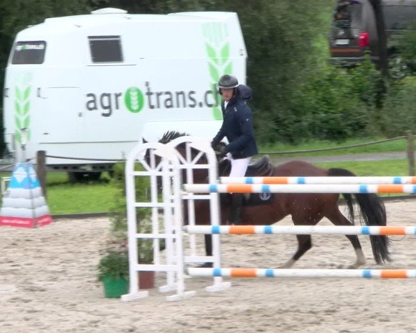 Reitturnier Gossau 2025