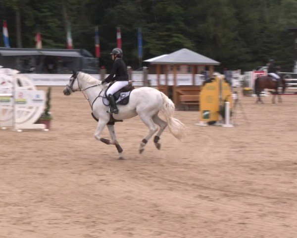 Reitturnier Ranshofen - Braunau am Inn 2025
