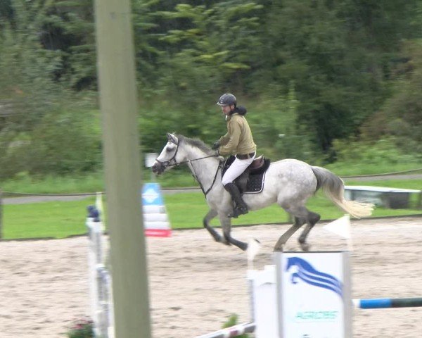 Reitturnier Gossau 2025