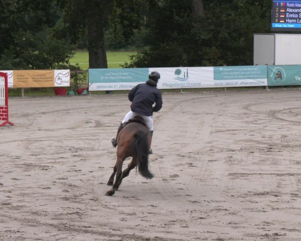 Reitturnier Alvern 2025