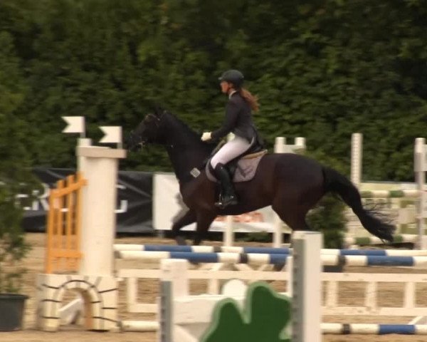 Sommerturnier Fröndenberg 2014