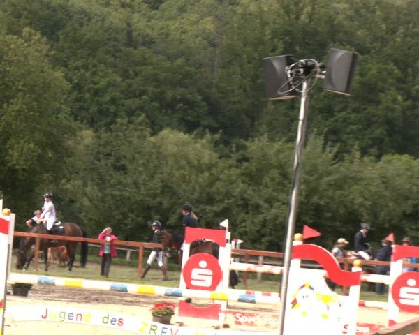 Reitturnier Arnsberg-Holzen 2025