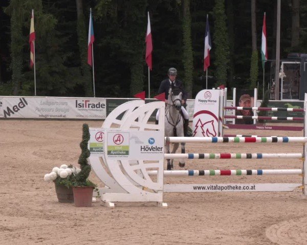 Reitturnier Ranshofen - Braunau am Inn 2025