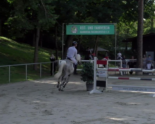Reitturnier Mannheim-Friedrichsfeld 2025