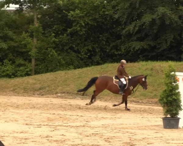 Sommerturnier Fröndenberg 2014
