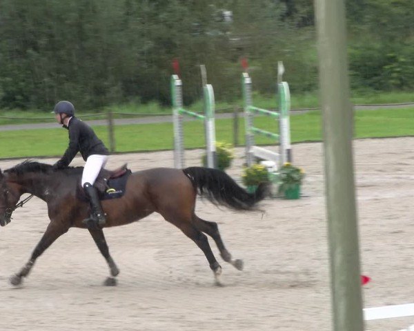 Reitturnier Gossau 2025