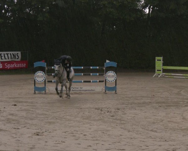 Reitturnier Arnsberg-Holzen 2025