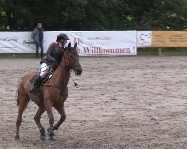 Reitturnier Alvern 2025