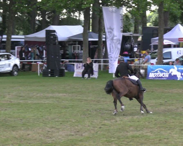 Reitturnier Zobbenitz 2025