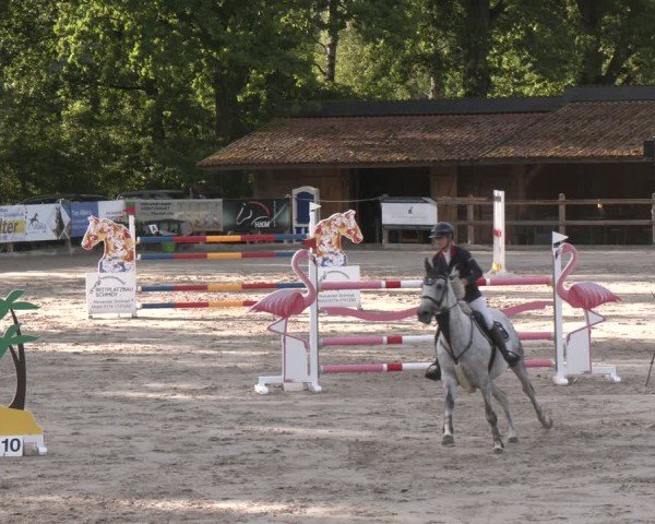 Reitturnier Alvern 2025