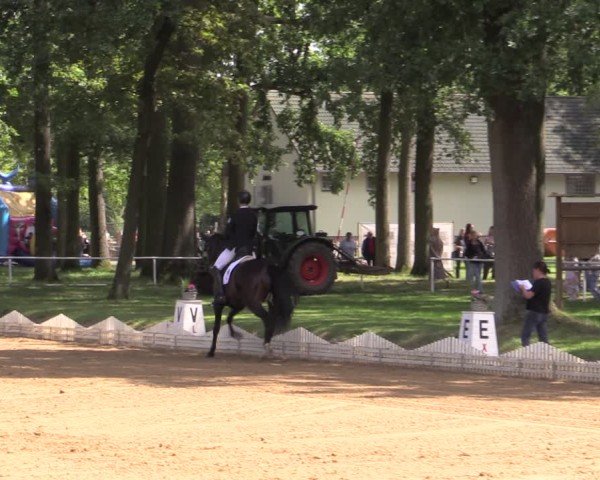 Reitturnier Zobbenitz 2025