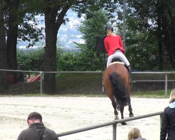Drei Länder Challenge 2014