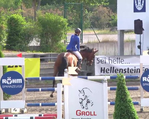 Großes Heidenheimer Reitturnier 2014
