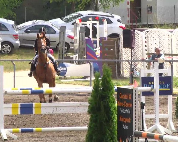 Großes Heidenheimer Reitturnier 2014