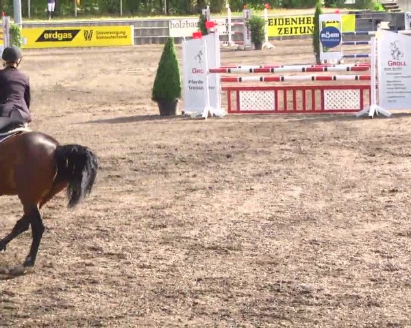 Großes Heidenheimer Reitturnier 2014