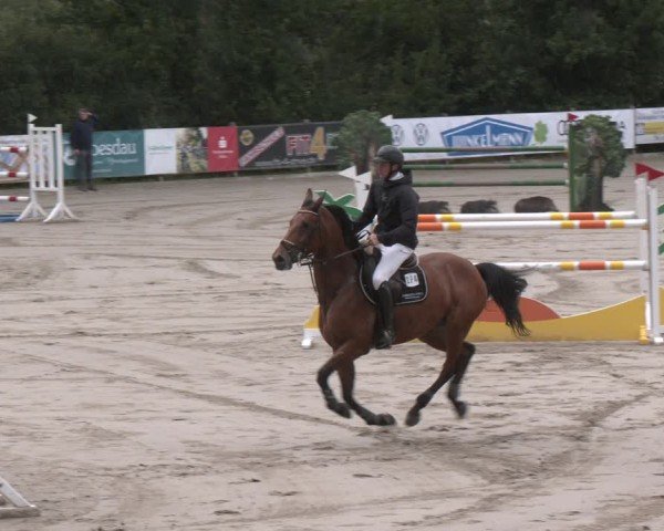 Reitturnier Alvern 2025