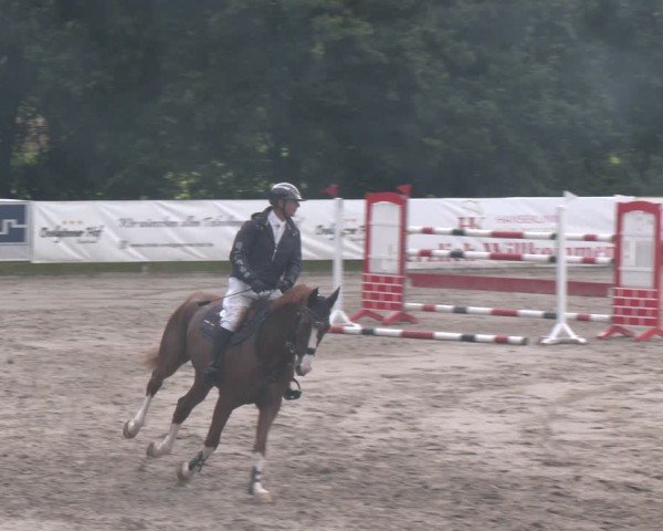 Reitturnier Alvern 2025
