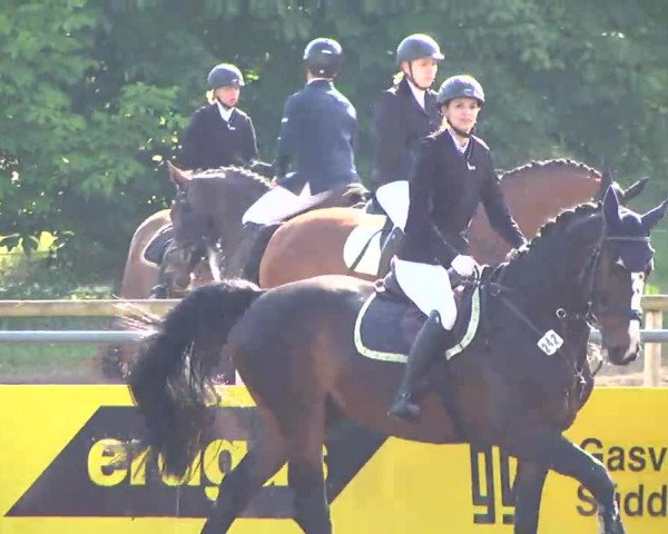Großes Heidenheimer Reitturnier 2014
