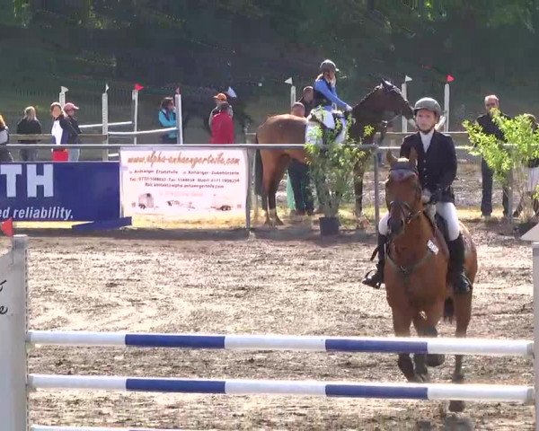 Großes Heidenheimer Reitturnier 2014