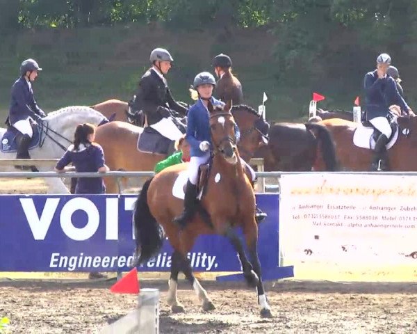 Großes Heidenheimer Reitturnier 2014