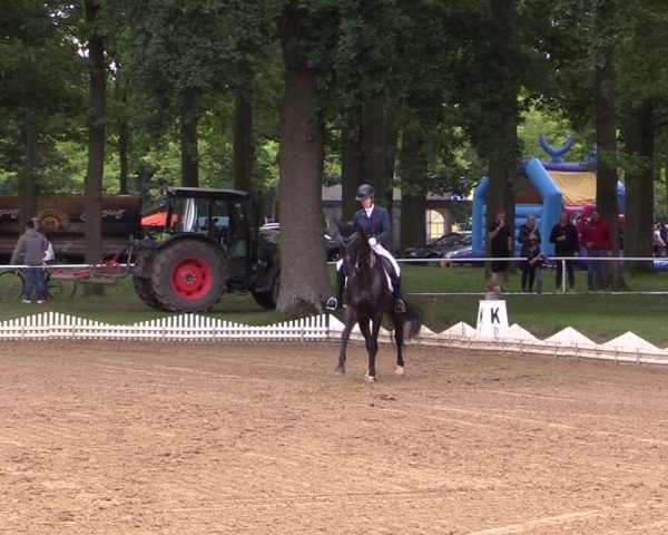 Reitturnier Zobbenitz 2025