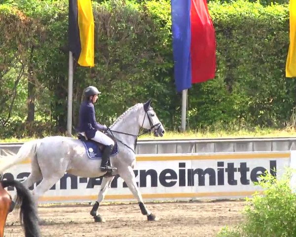 Großes Heidenheimer Reitturnier 2014