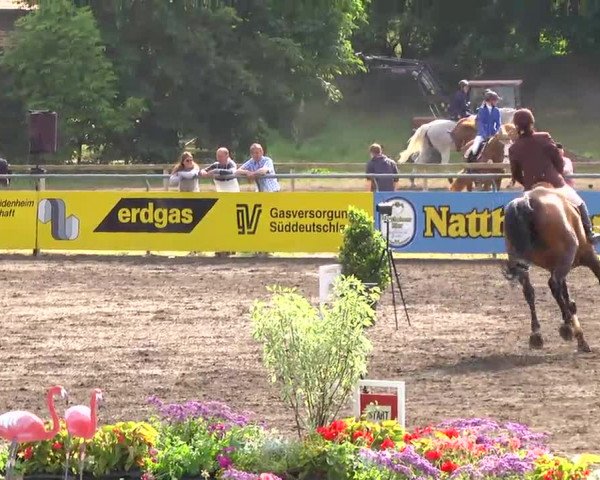 Großes Heidenheimer Reitturnier 2014