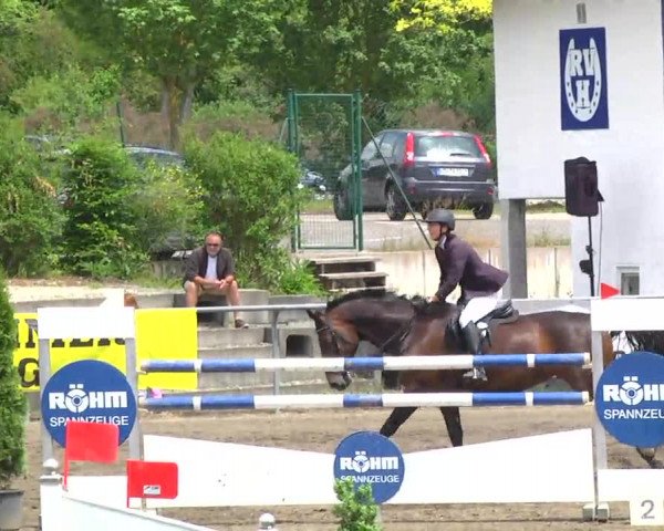 Großes Heidenheimer Reitturnier 2014