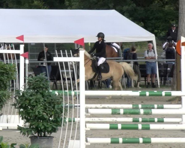 Reitturnier Mannheim-Friedrichsfeld 2025