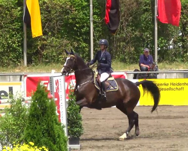 Großes Heidenheimer Reitturnier 2014