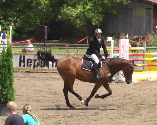 Großes Heidenheimer Reitturnier 2014