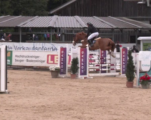 Reitturnier Ranshofen - Braunau am Inn 2025