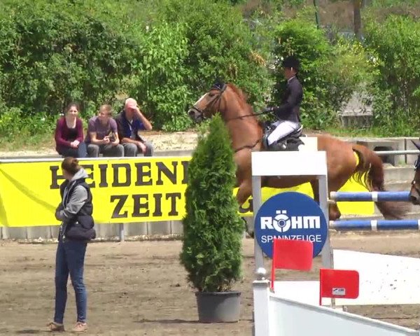 Großes Heidenheimer Reitturnier 2014