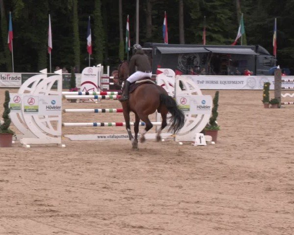 Reitturnier Ranshofen - Braunau am Inn 2025