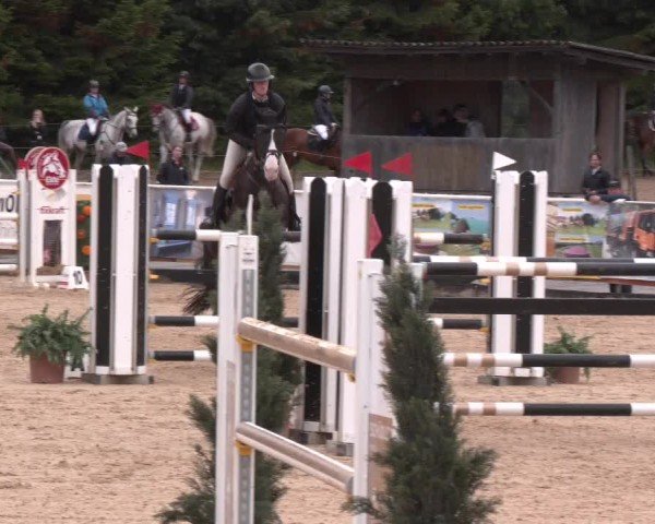 Reitturnier Ranshofen - Braunau am Inn 2025