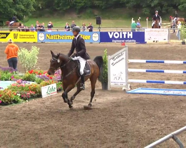 Großes Heidenheimer Reitturnier 2014