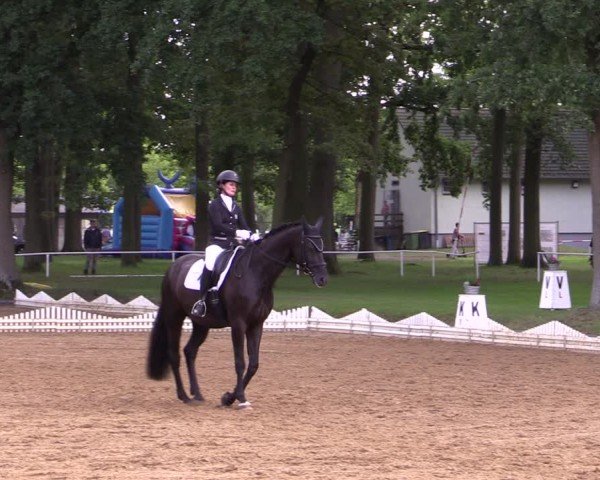 Reitturnier Zobbenitz 2025