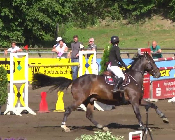 Großes Heidenheimer Reitturnier 2014