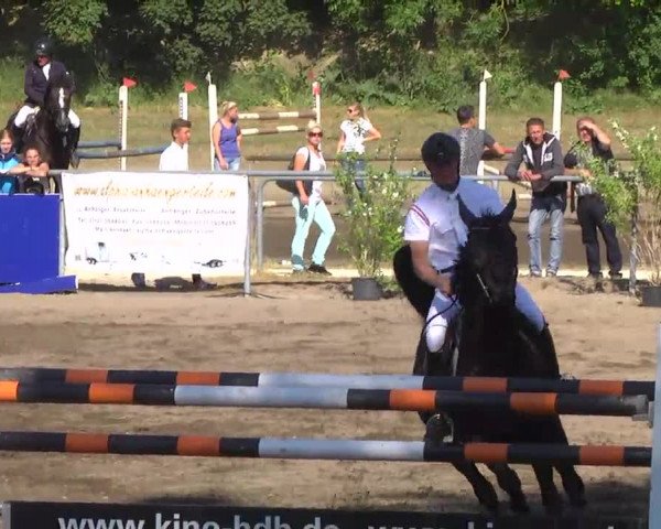 Großes Heidenheimer Reitturnier 2014