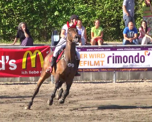 Großes Heidenheimer Reitturnier 2014