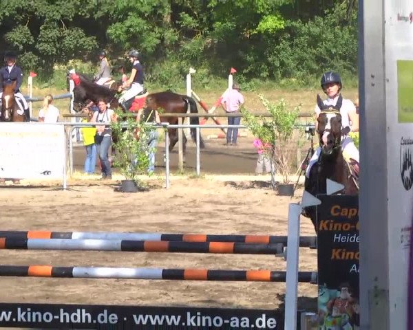 Großes Heidenheimer Reitturnier 2014