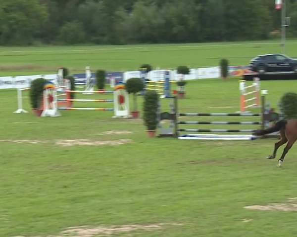 Reitturnier Bad Kissingen/Ufr. 2025