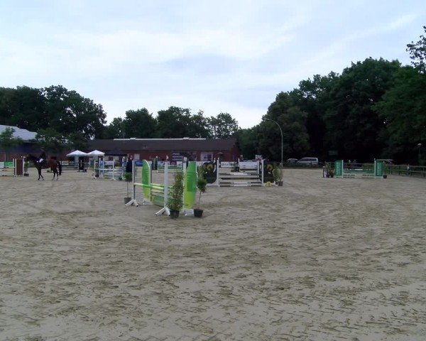 Reitturnier Stadtlohn 2025