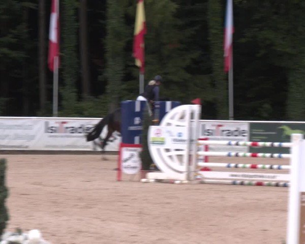 Reitturnier Ranshofen - Braunau am Inn 2025