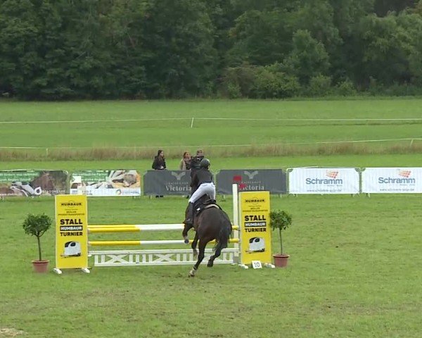Reitturnier Bad Kissingen/Ufr. 2025