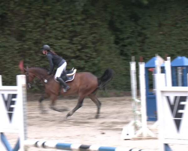 Reitturnier Arnsberg-Holzen 2025