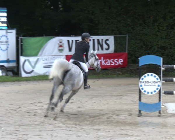 Reitturnier Arnsberg-Holzen 2025