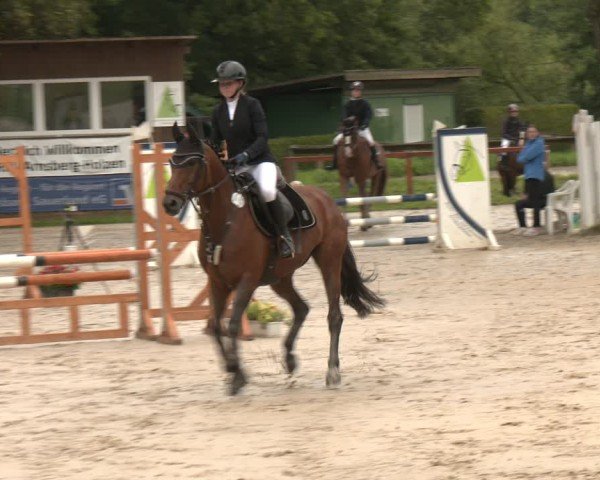 Reitturnier Arnsberg-Holzen 2025